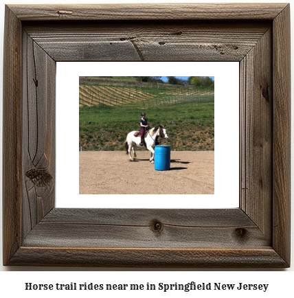 horse trail rides near me in Springfield, New Jersey